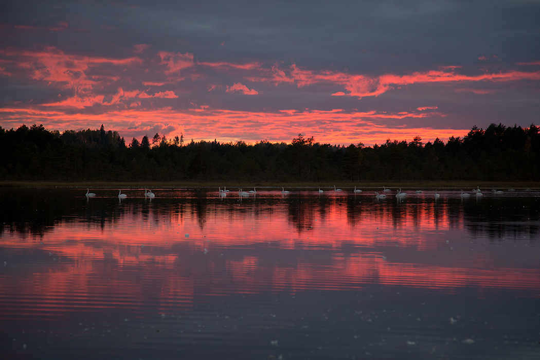 Luikede järv